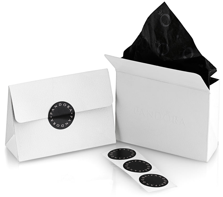 Timeless Silver Elegance Cubic Zirconia Studs