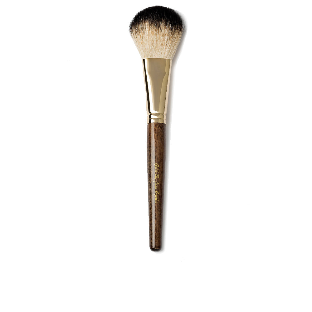 Gold Pincel Hair Accessory