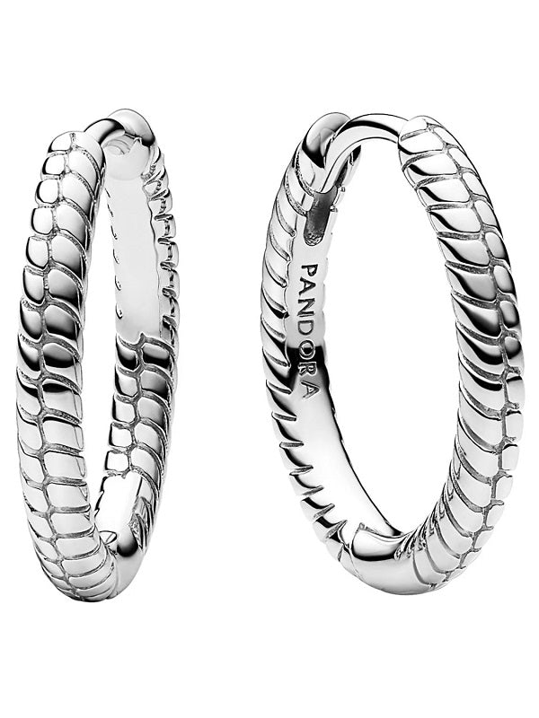 Sleek Sterling Silver Modern Hoop Elegance
