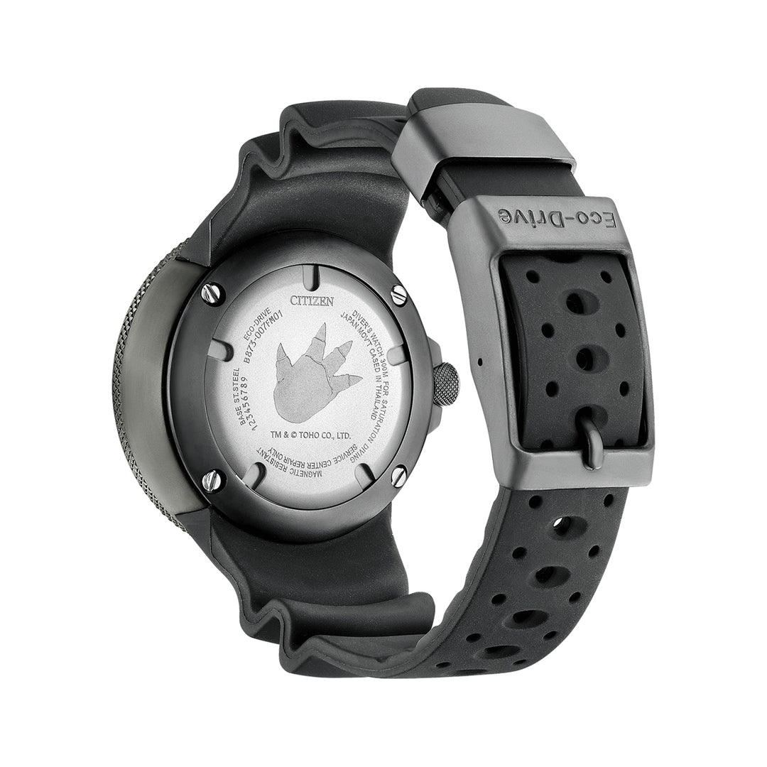Eco-Drive Professional Diver's Precision